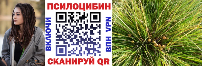 сайты даркнета состав  Краснозаводск  Галлюциногенные грибы мухоморы 